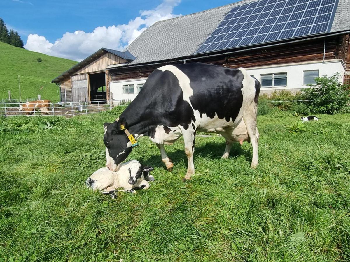 Kulmerhof - Farm Pruggern Exterior foto