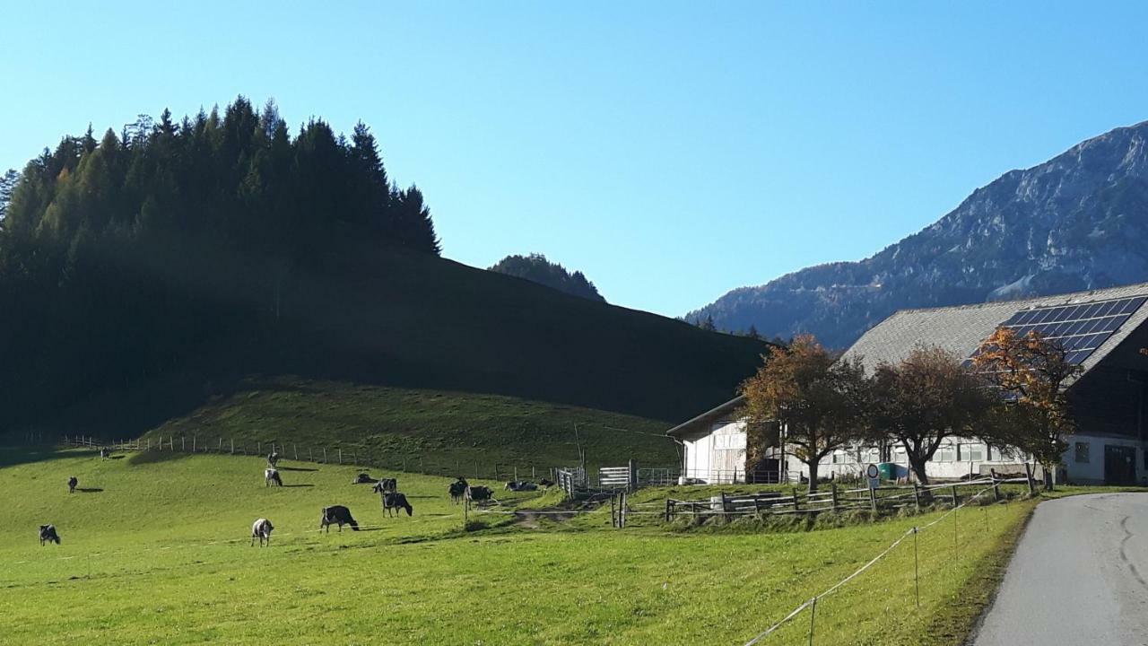 Kulmerhof - Farm Pruggern Exterior foto